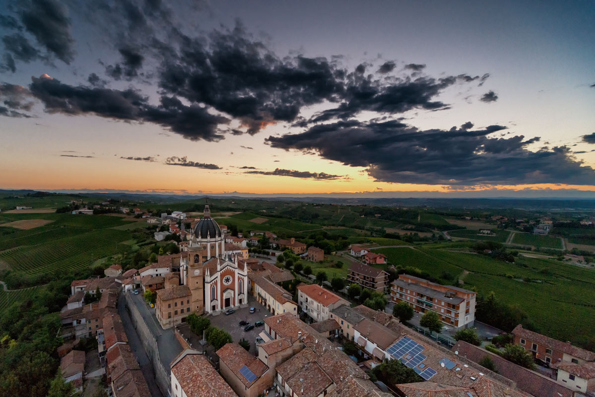 Vineyards after the sunset