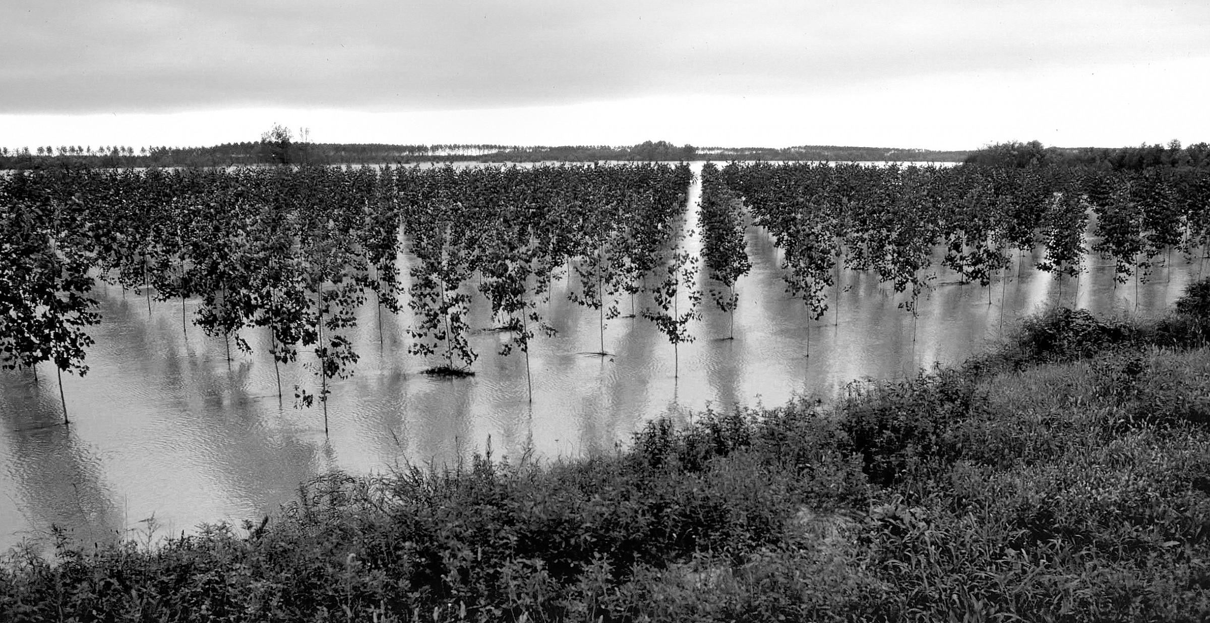 Piena del Po - Polesine - 1994