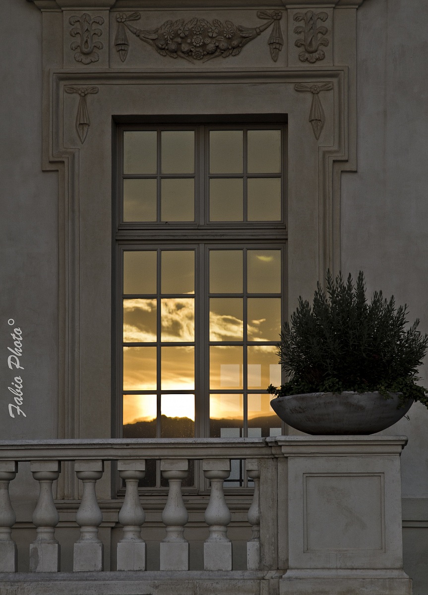 reflection from the Palace