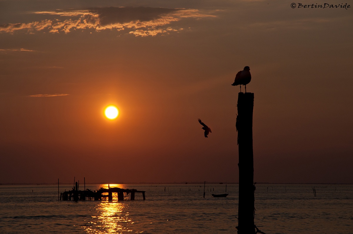 Sunset in Venice-Pellestrina