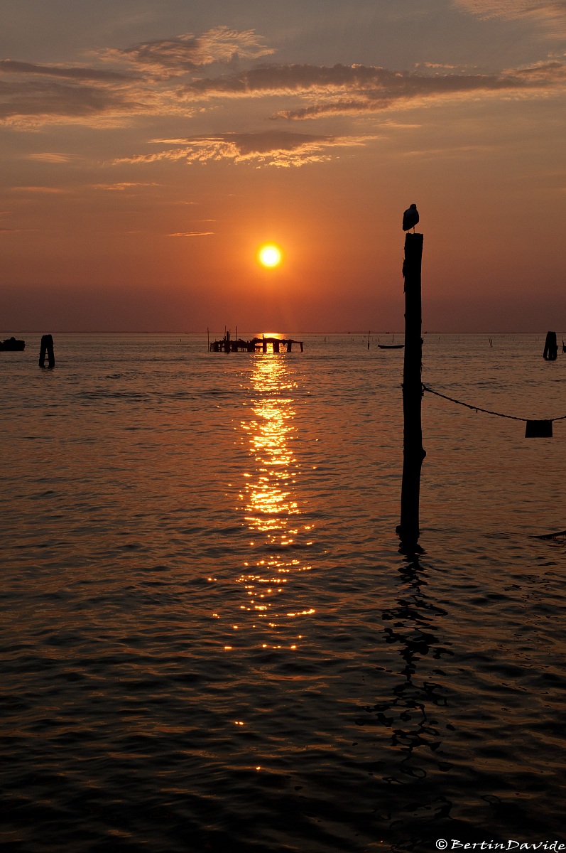 Sunset in Venice-Pellestrina