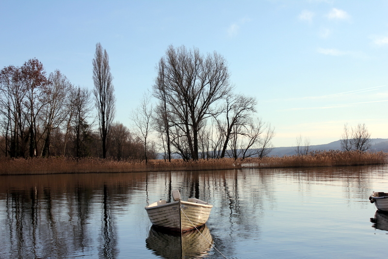 Reflections EOS 550d 58mm