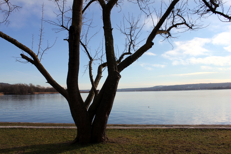 Reflections EOS 550d 58mm