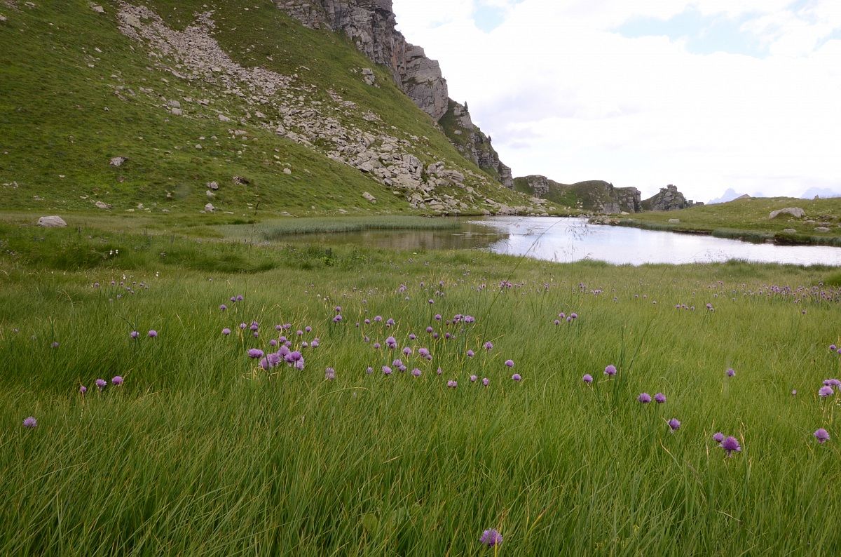 Lago delle strighe -Lagorai
