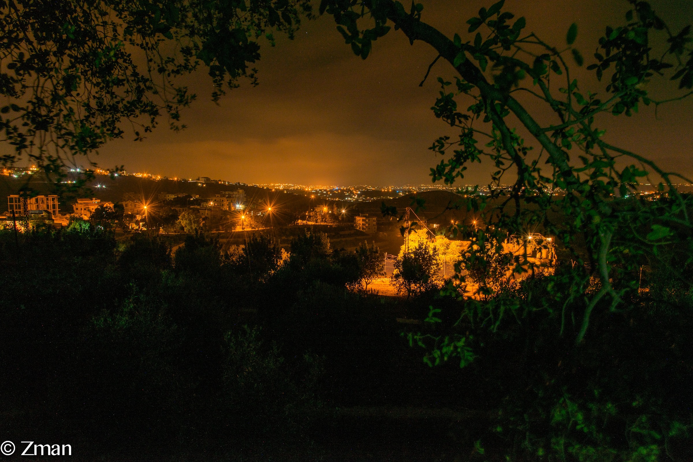 Looking North from Where we Sit In The Evenings