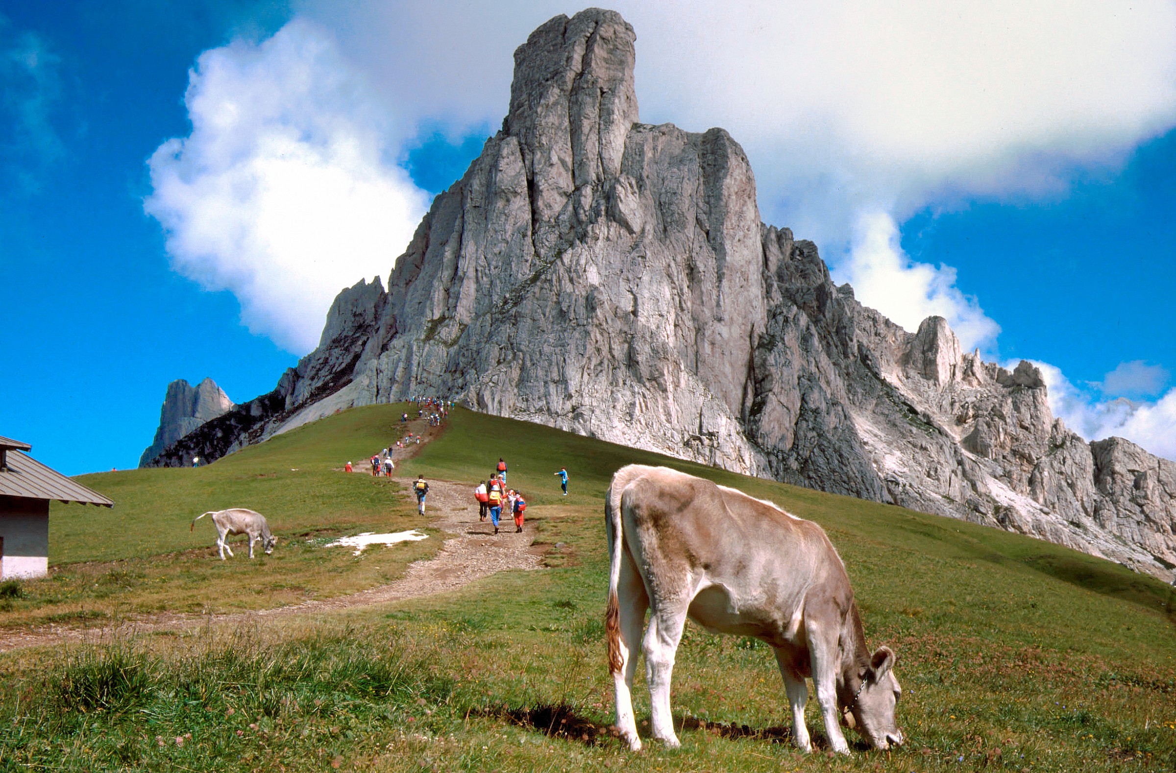 Passo Giau 2236 m. - 1988