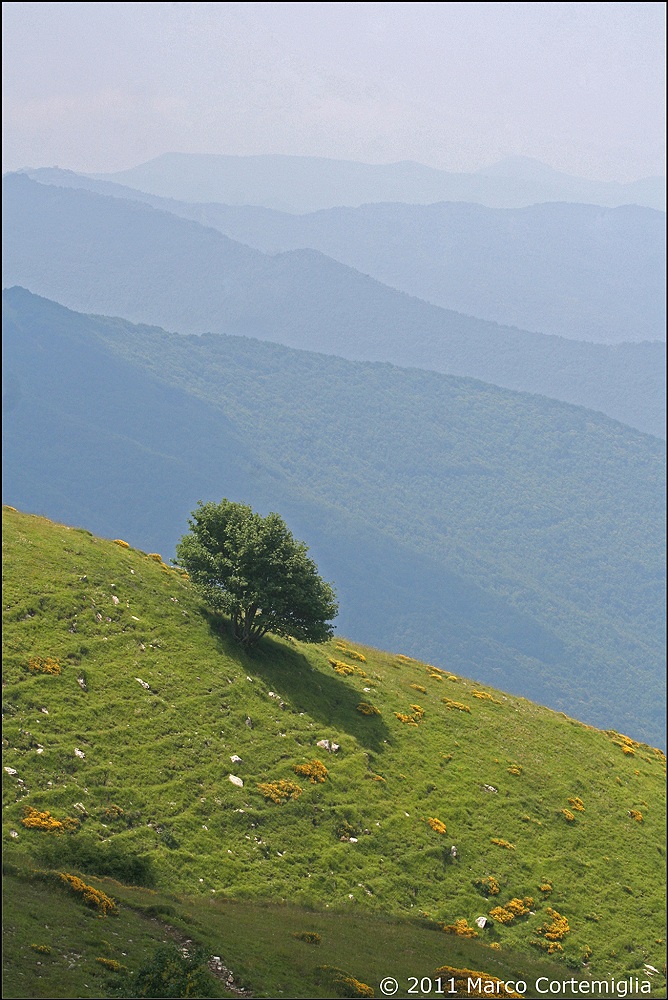 Apennines horizon - Mouth Crenna, Upper Valley S