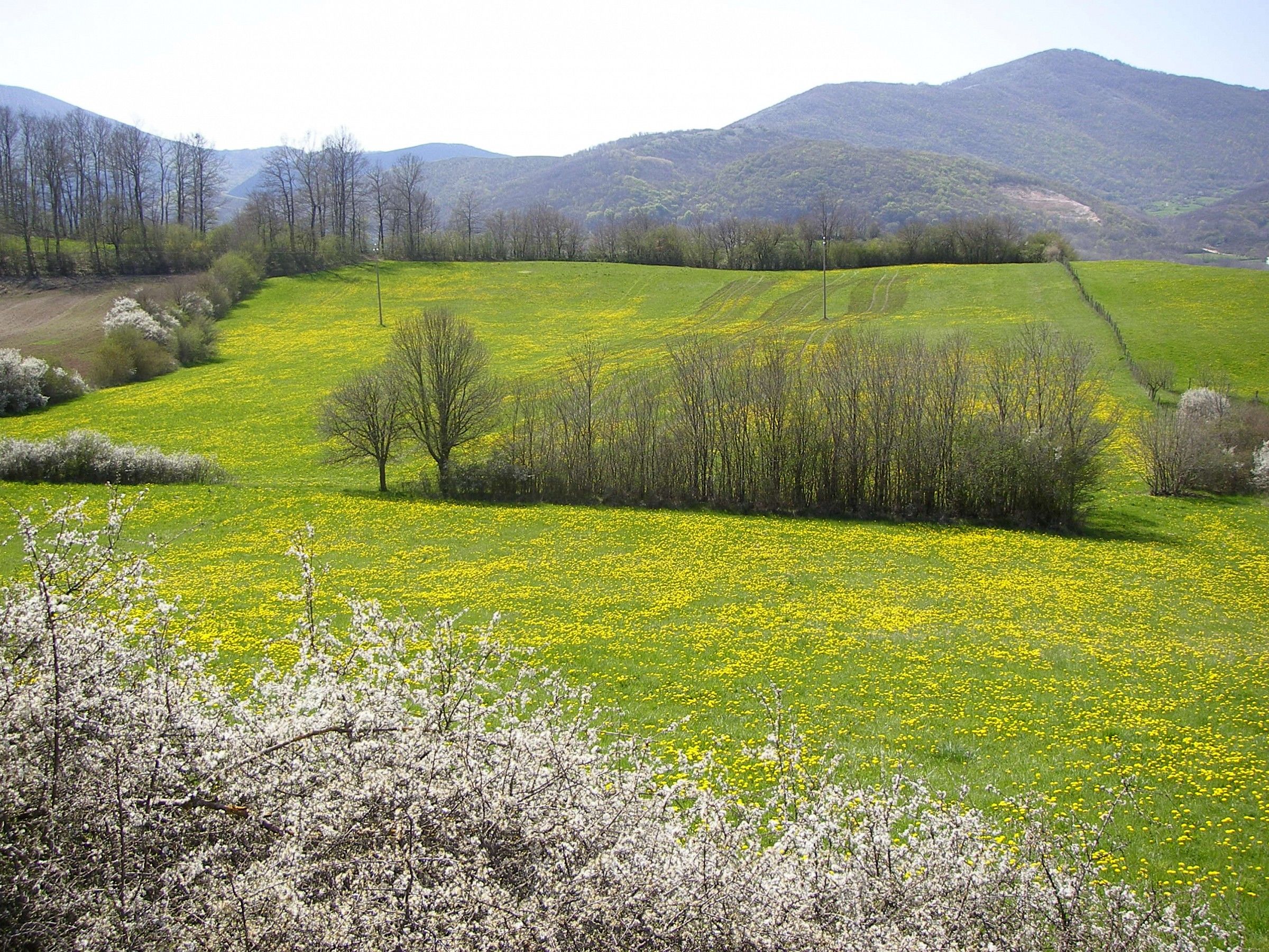 Primavera in Umbria