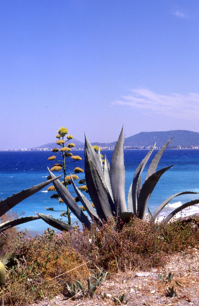 Sardegna