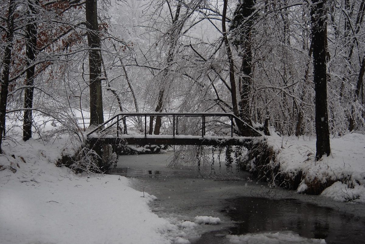 Soriso ponte pedonale cascinale dei ricostruttori