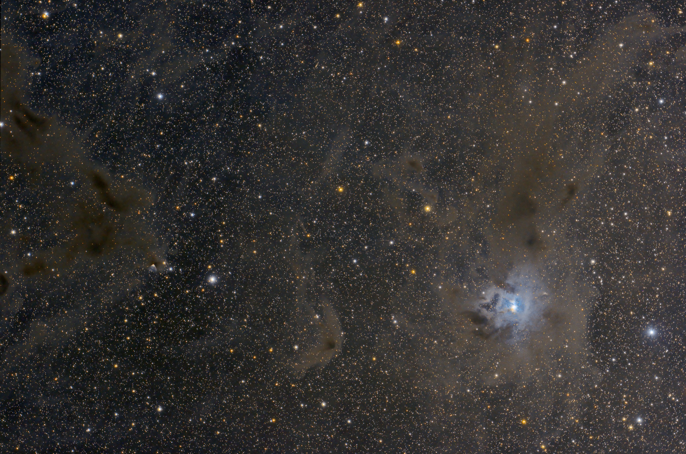 Iris Nebula and dark companions