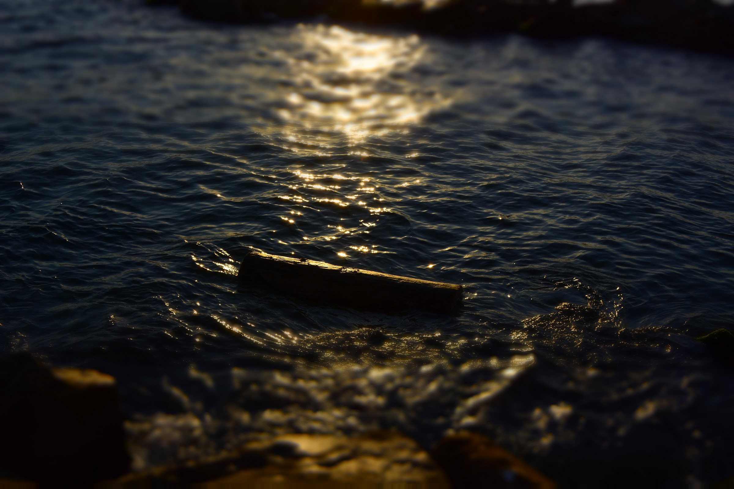 drifting towards evening ....