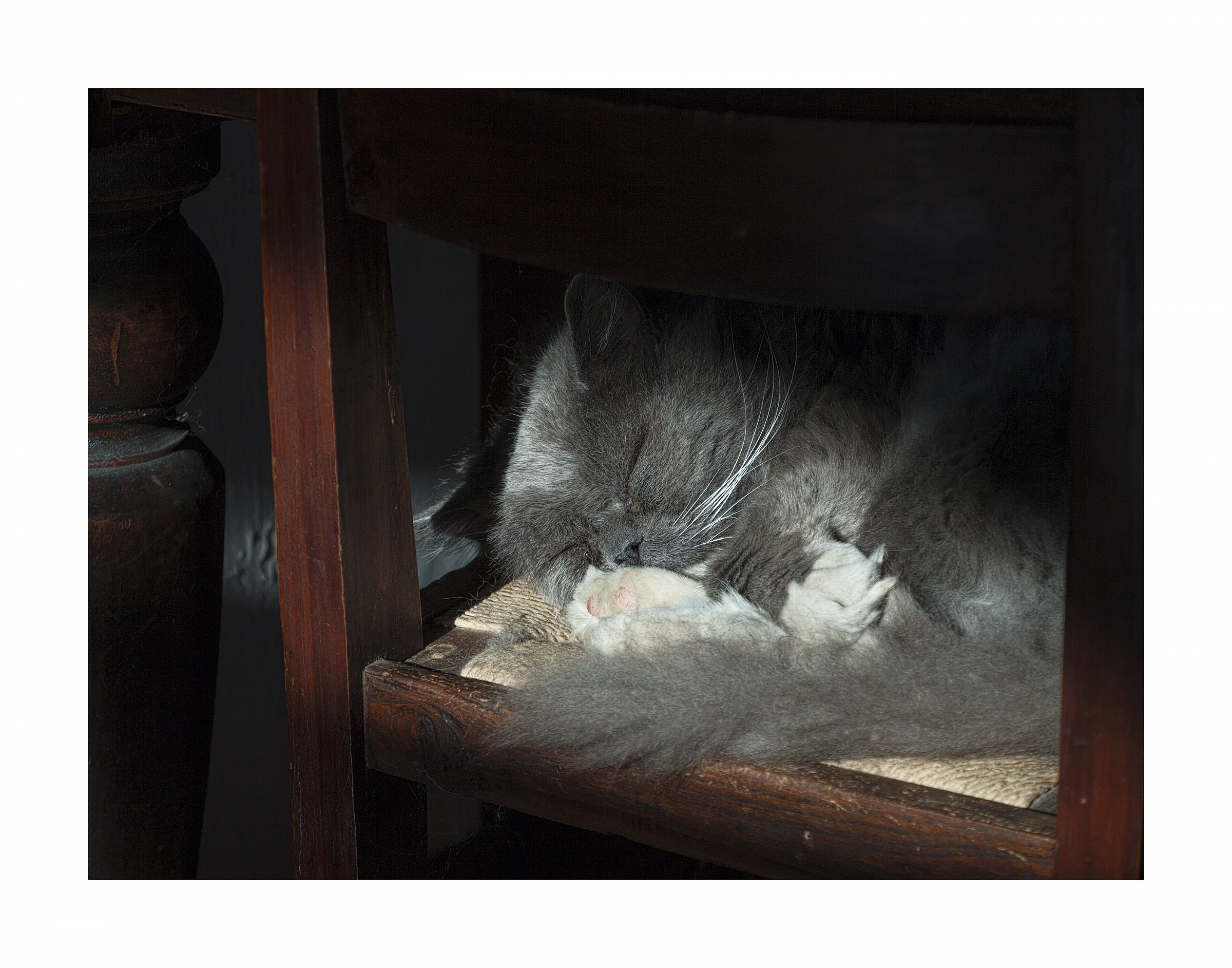 The rest of the warrior