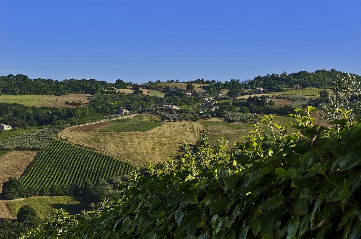 View from La Campana 2