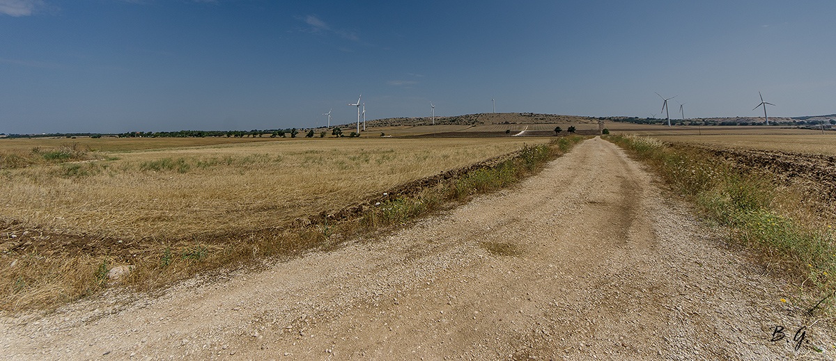 Oro gialo...Energia pulita