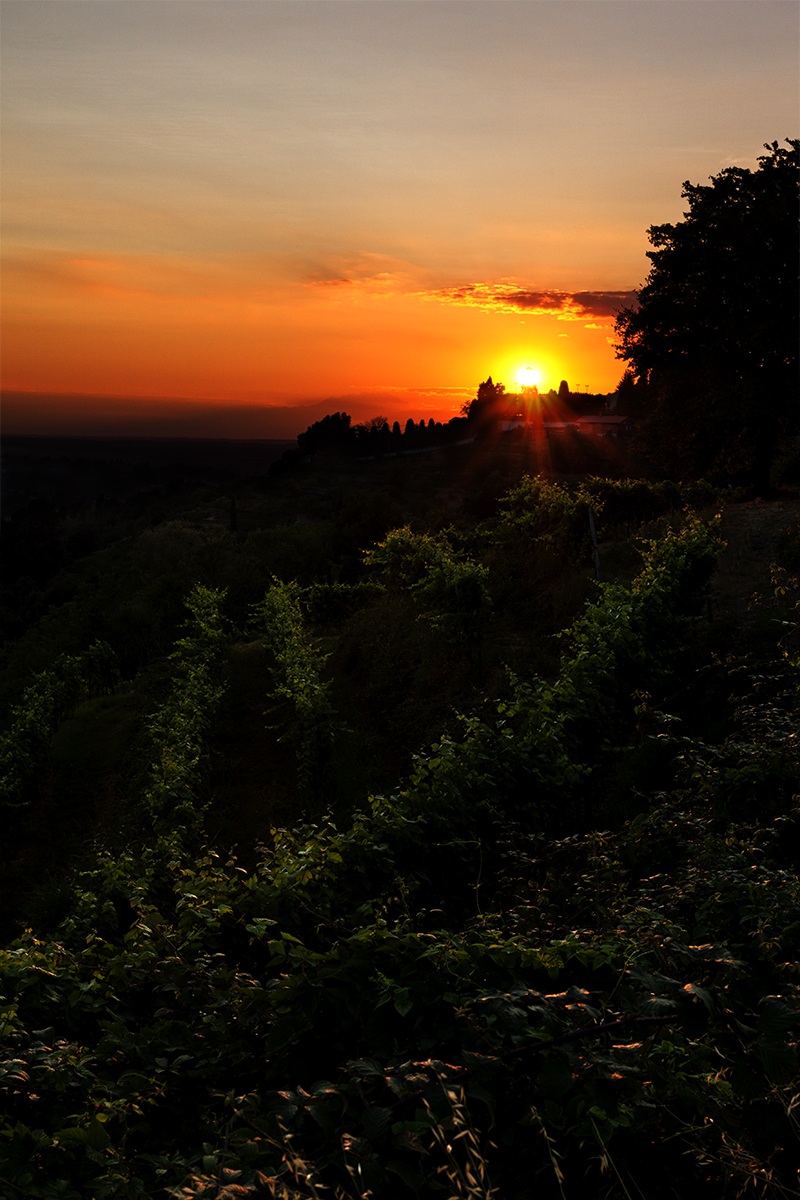 Tramonto a Montevecchia