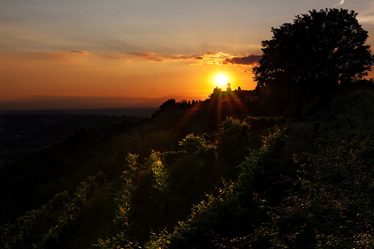 Sunset in Montevecchia