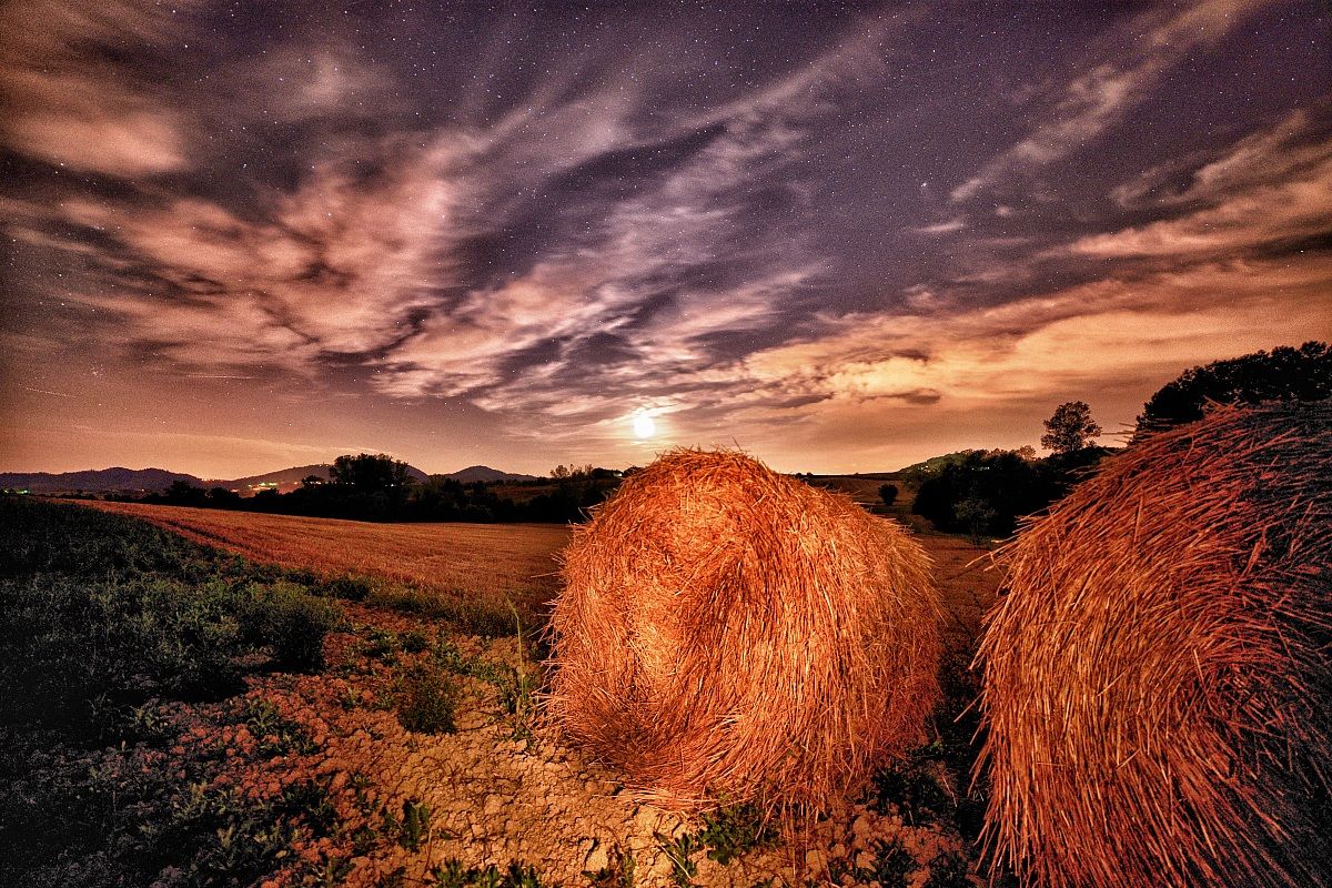 Dorothy e il temporale