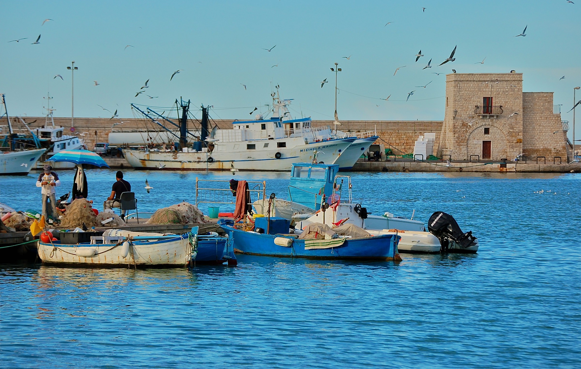 Without Organic - Fishers of Trani