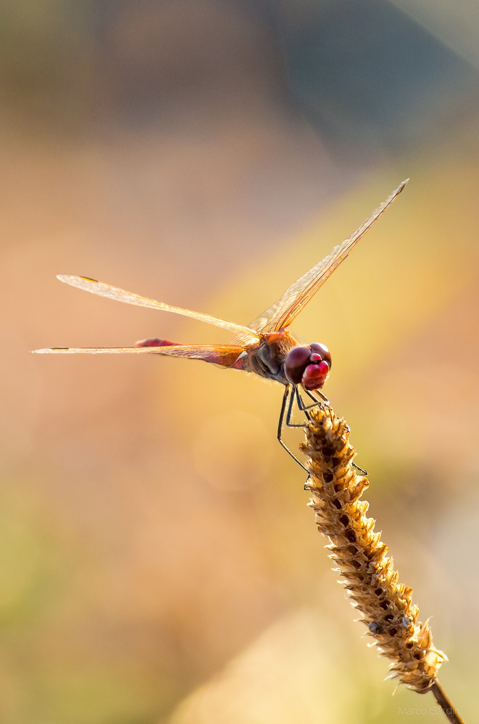 Anticipi di collezione autunno/inverno
