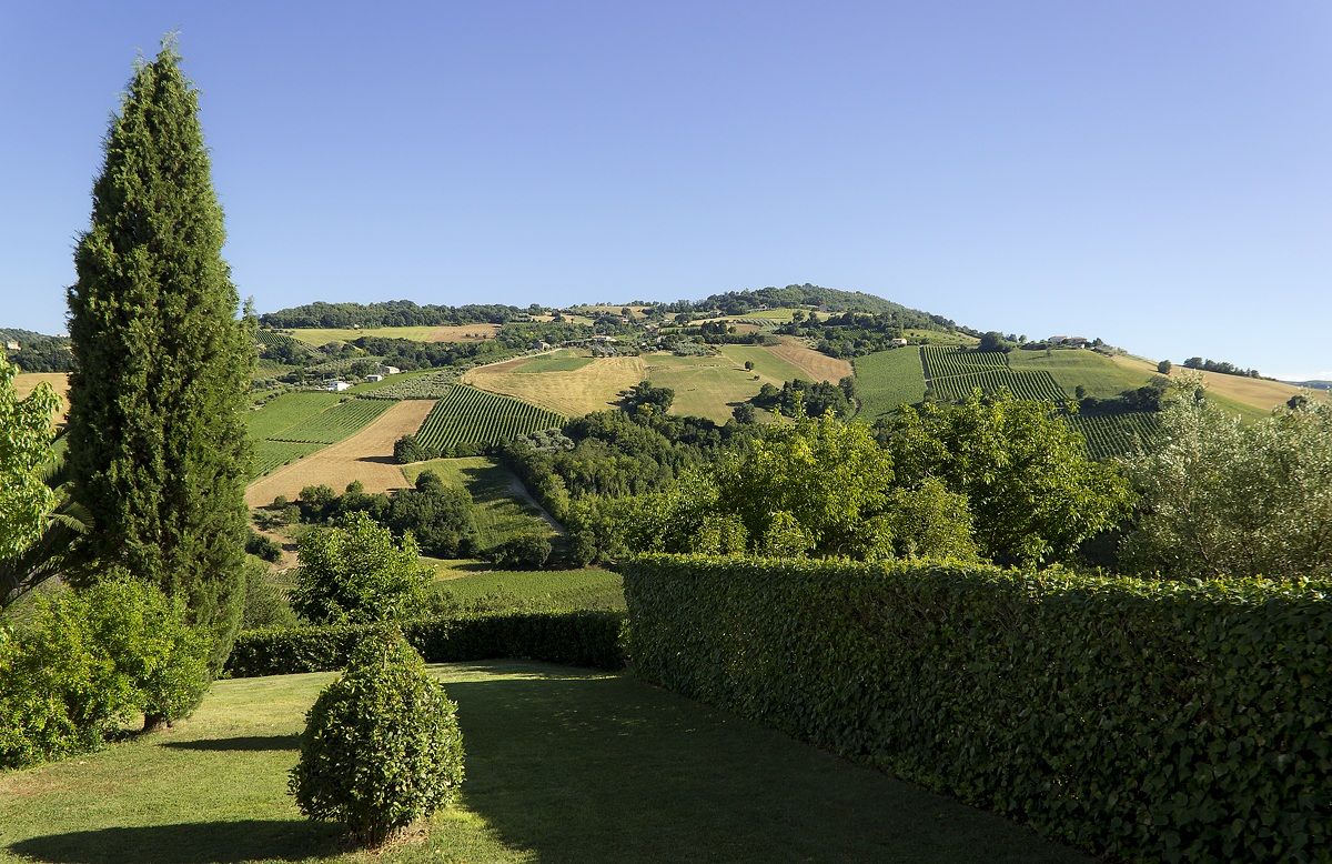 Vista da La Campana 2.1