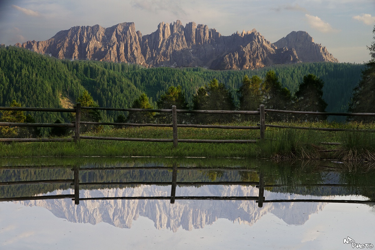 Reflections solitary