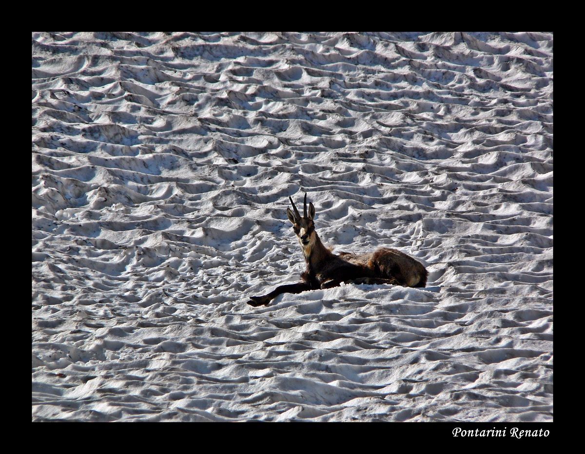 In search of refreshment