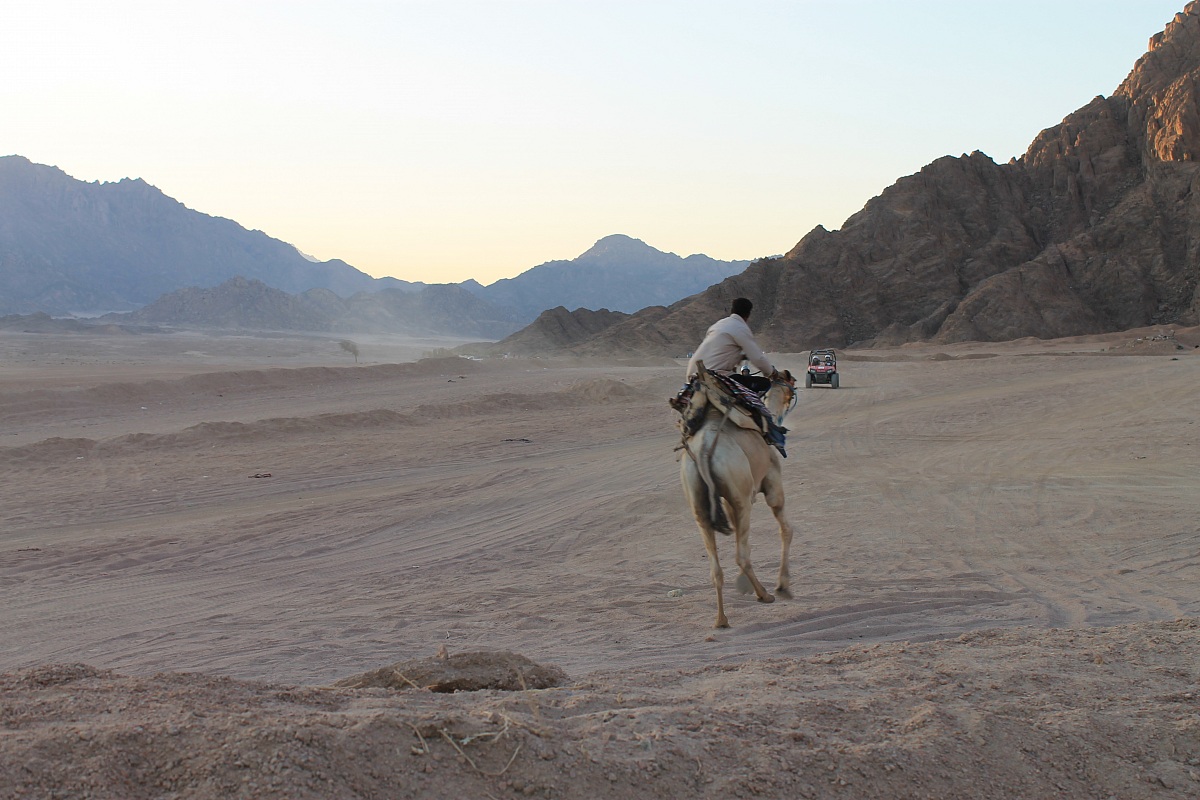 Correndo nel deserto