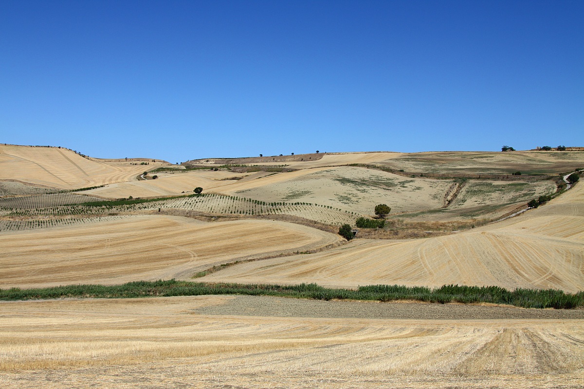 colline di minervino murge