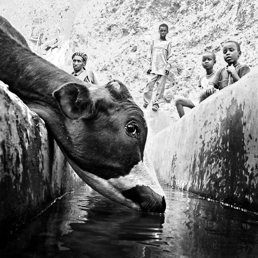 L 'singer had drunk at the well