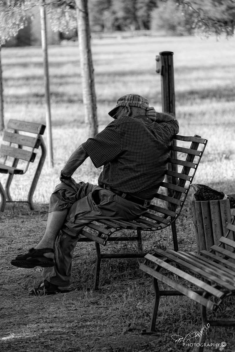 fresh morning in the park