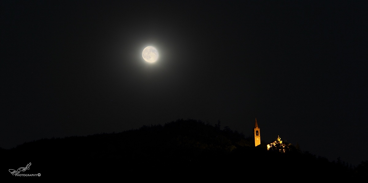 Boccolo Walnut and Moon