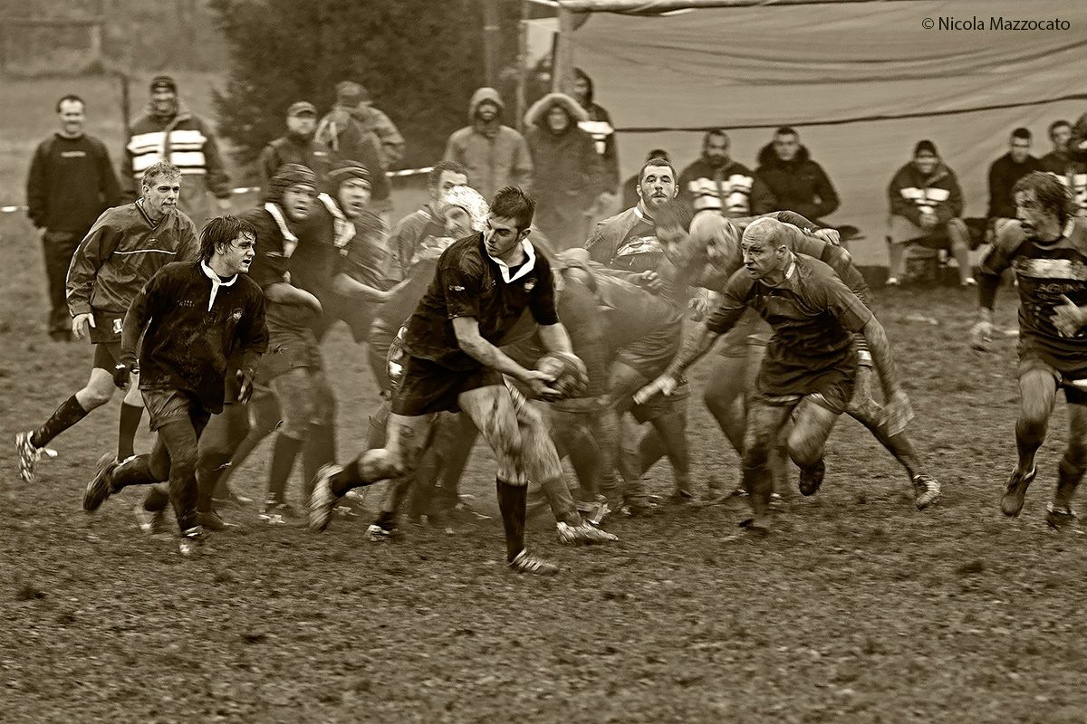 Escape from the fray