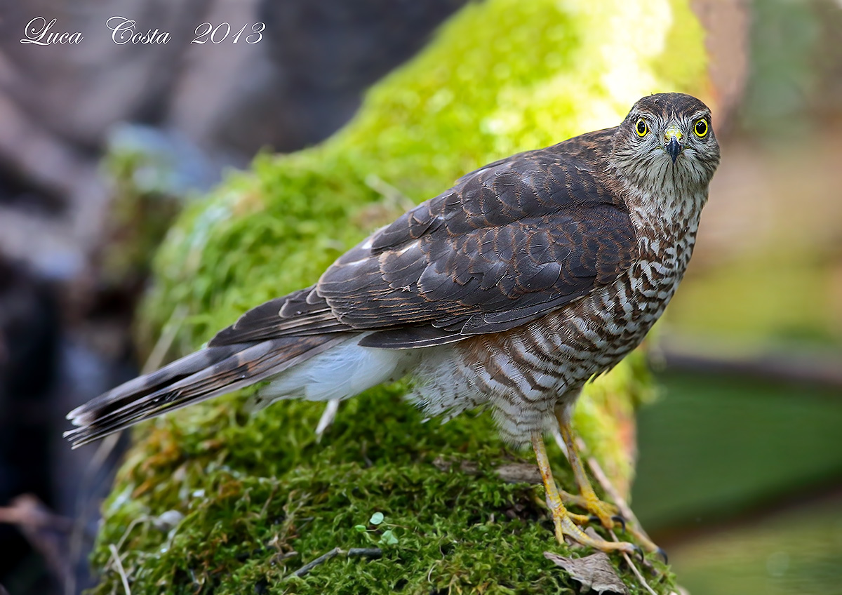 Quando mi ha guardato, mi ha scioccato.......