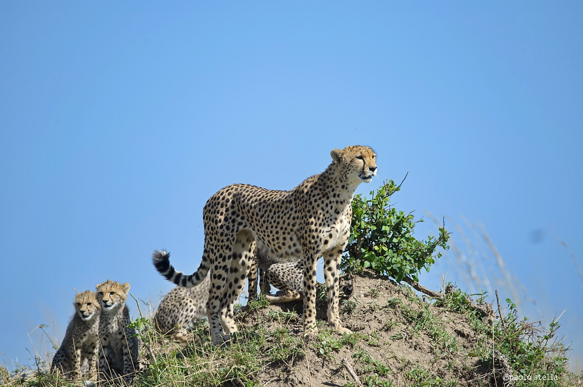 hey Mom what are you looking for?