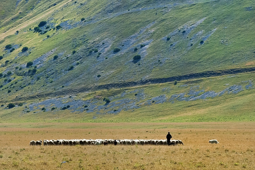 transhumance GranSasso L'Aquila 2013