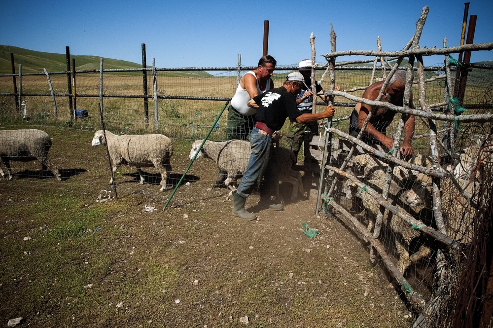 transhumance GranSasso Aq 2013