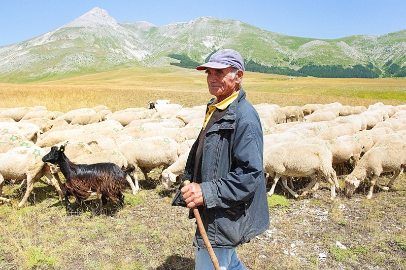 transhumance GranSasso Aq 2013