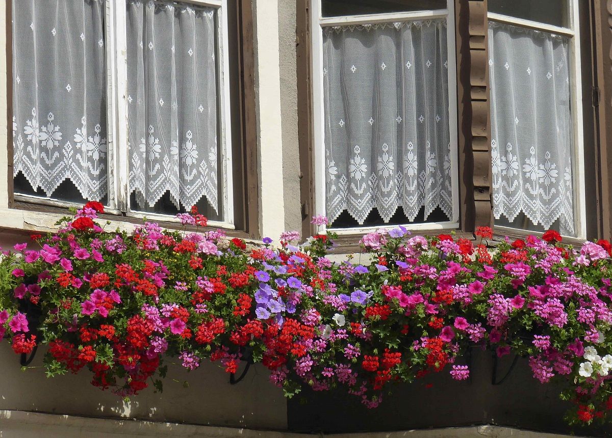 window flourished to vipiteno