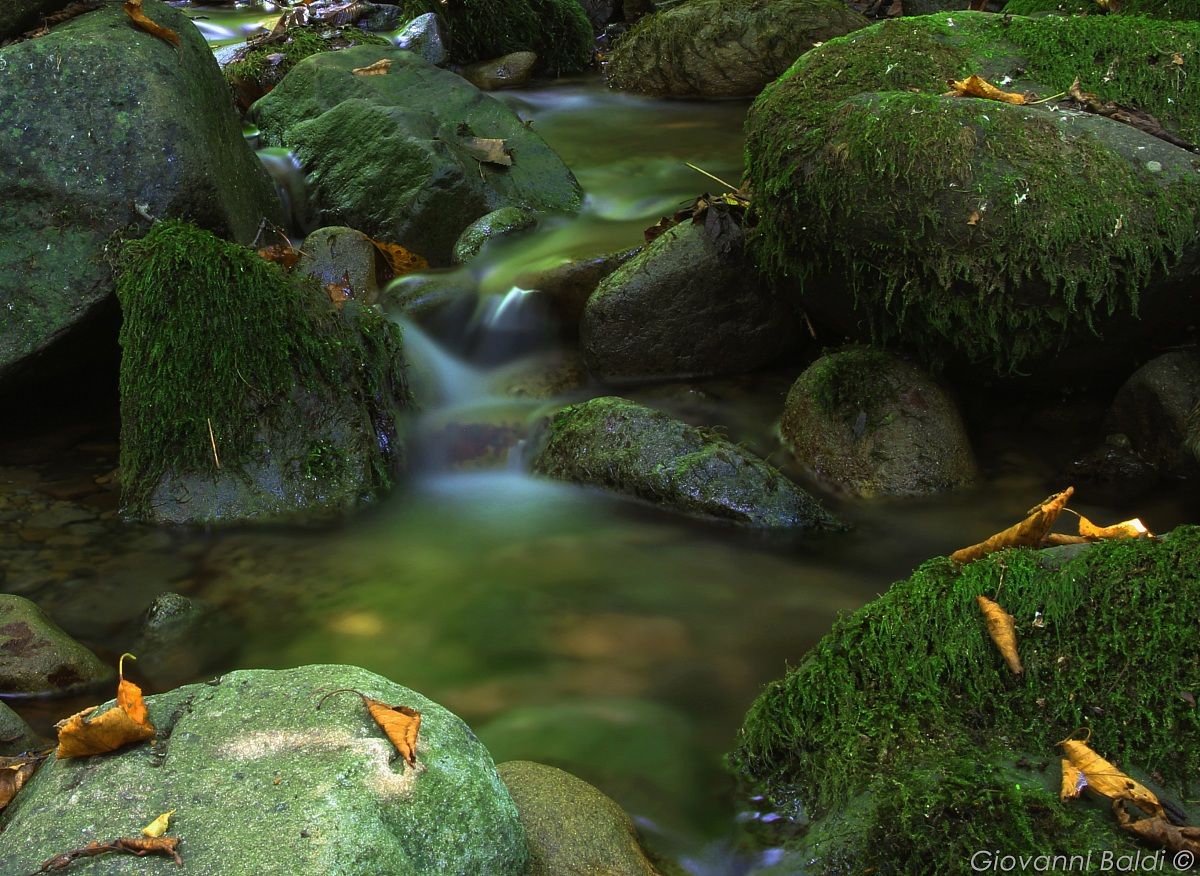 Panta rei, capitolo 2