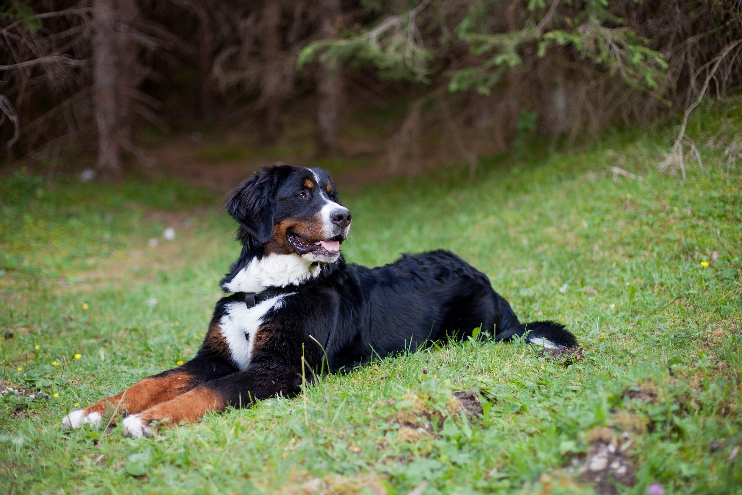 This is my best side