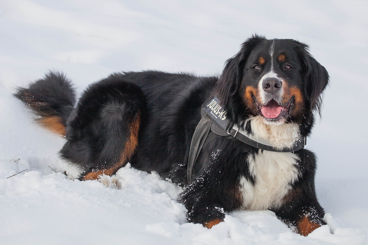 Qui si che si sta bene, a casa c'è caldo