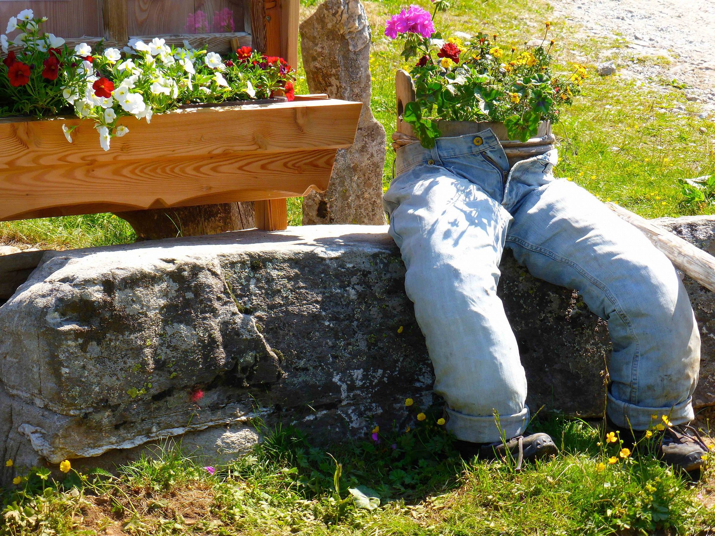 the flowers make them famous everywhere