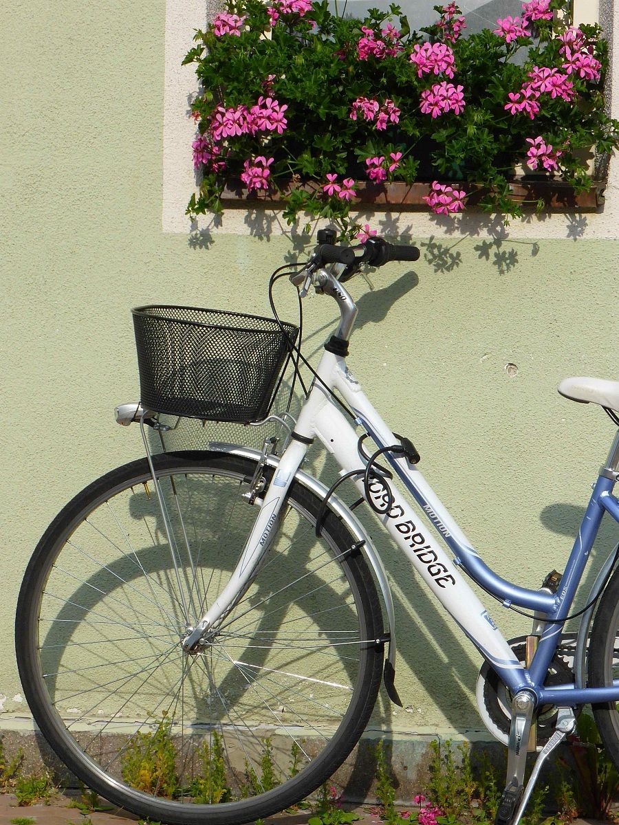 bike with flowers
