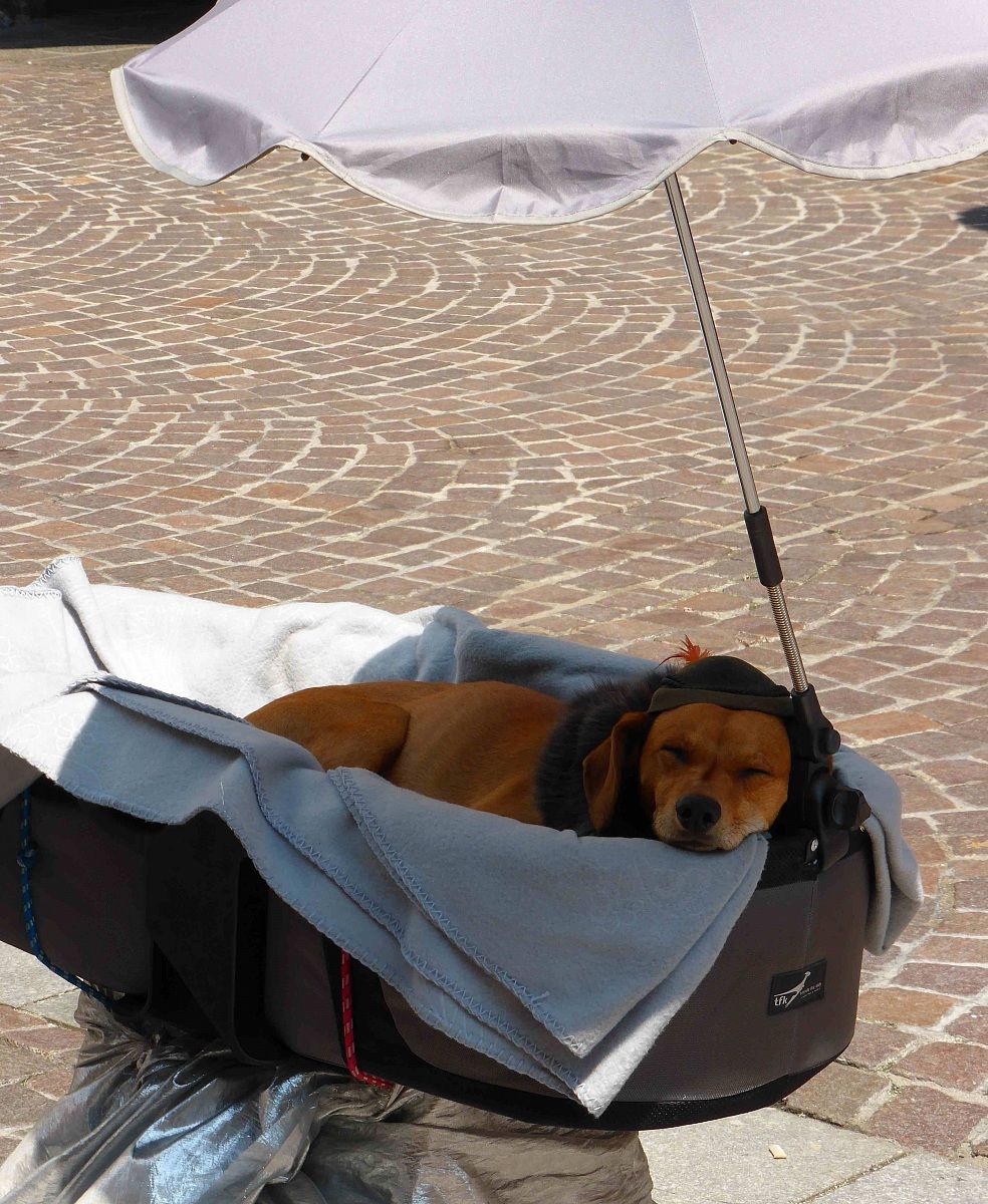 who is better than him