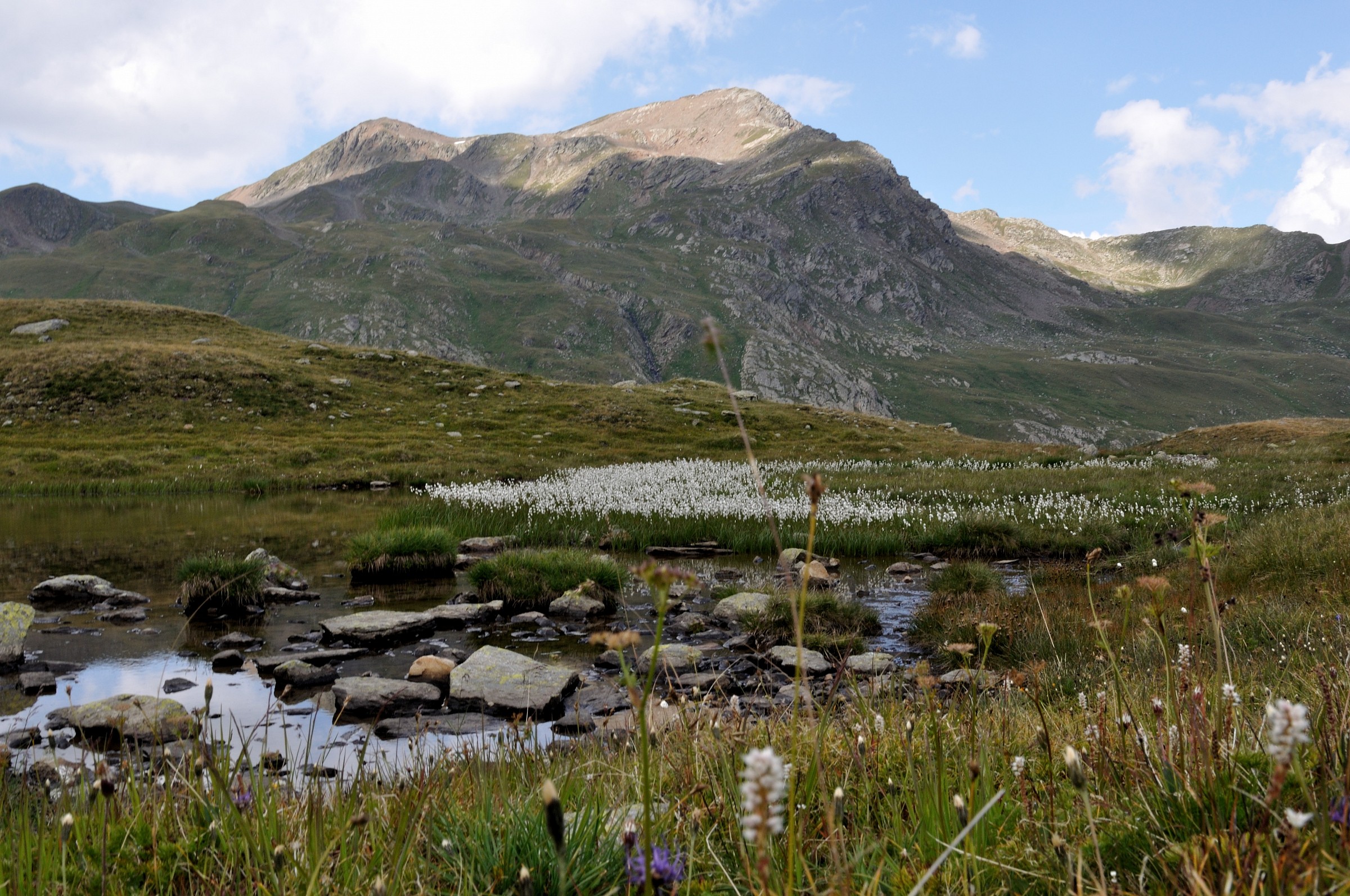 Passo Gavia: Laghetto Alpino