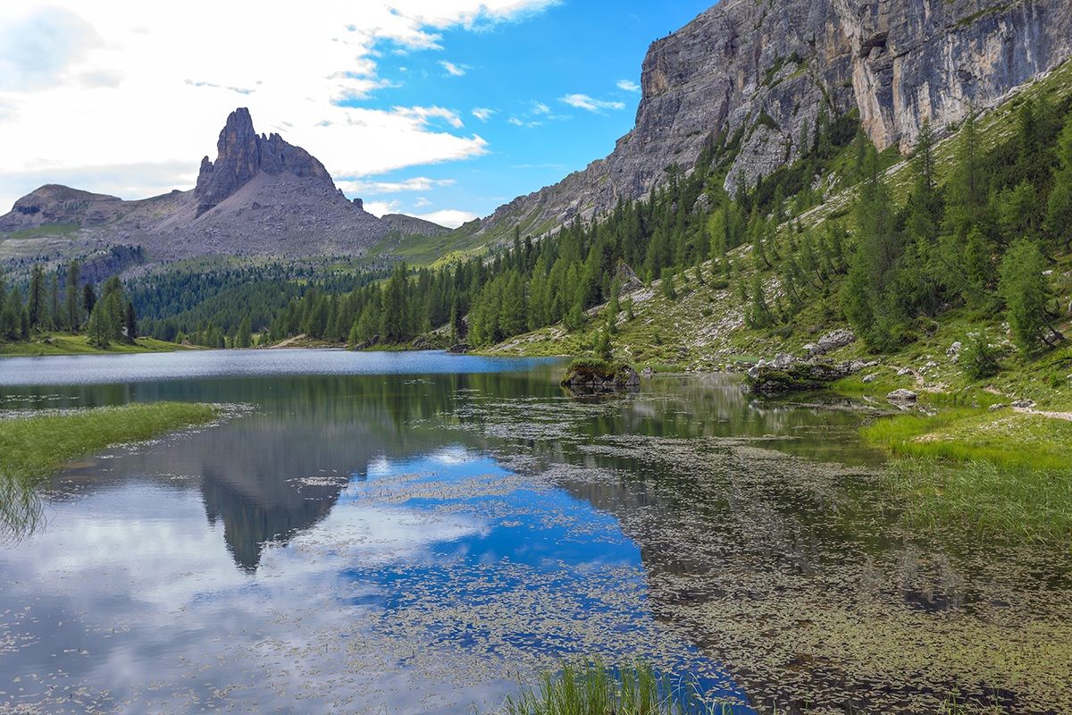 Beak of the Negev ...