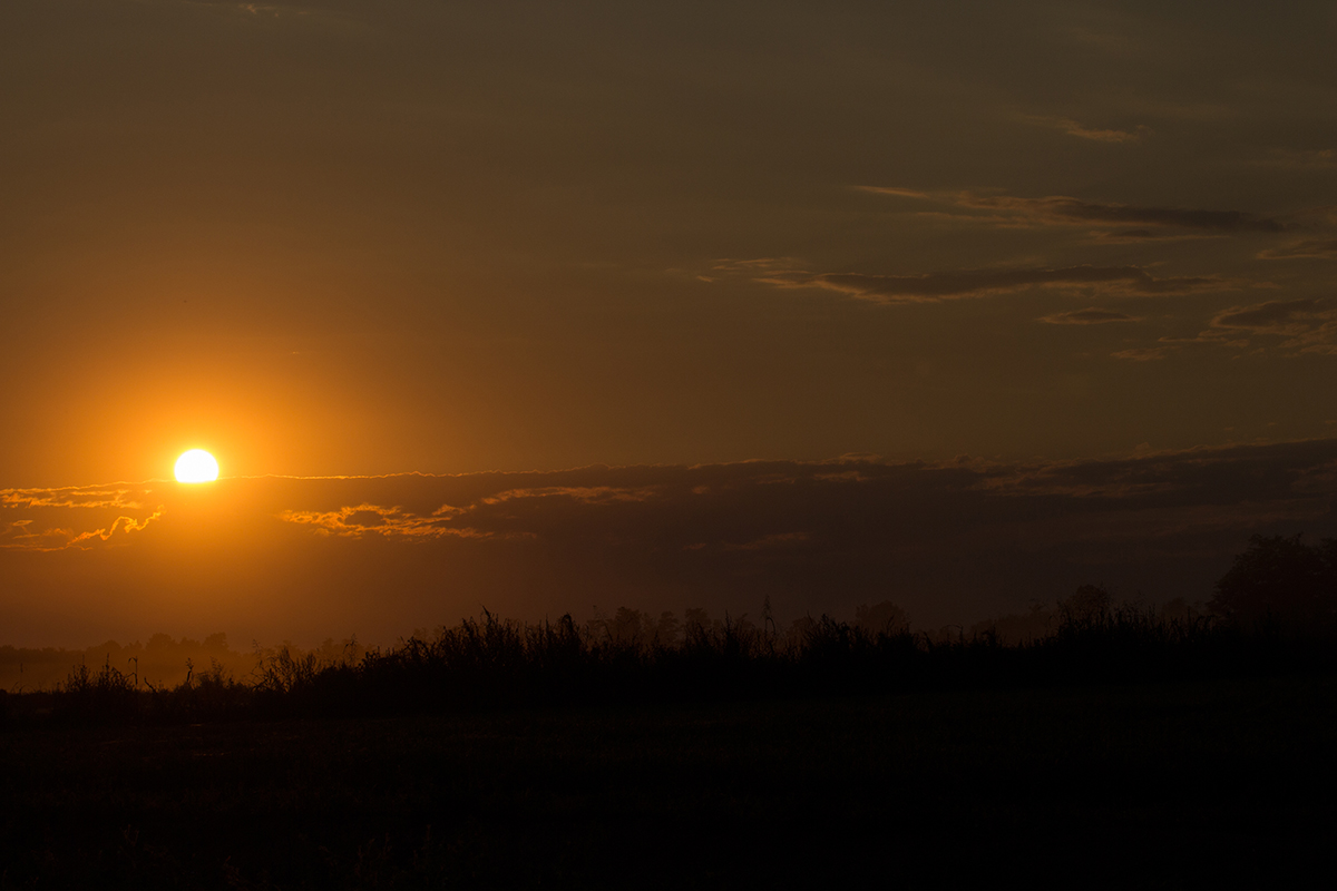 Tramonto sul granoturco