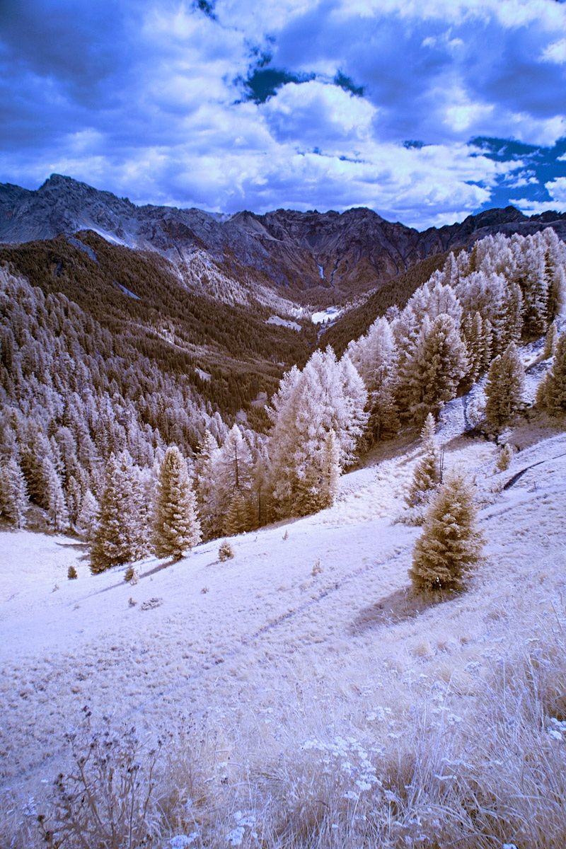 Guardando verso il Monzoni