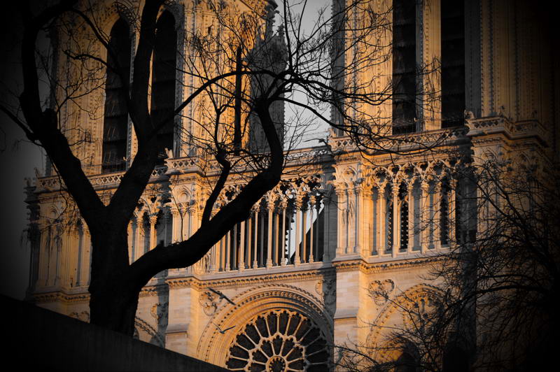 Notre-Dame